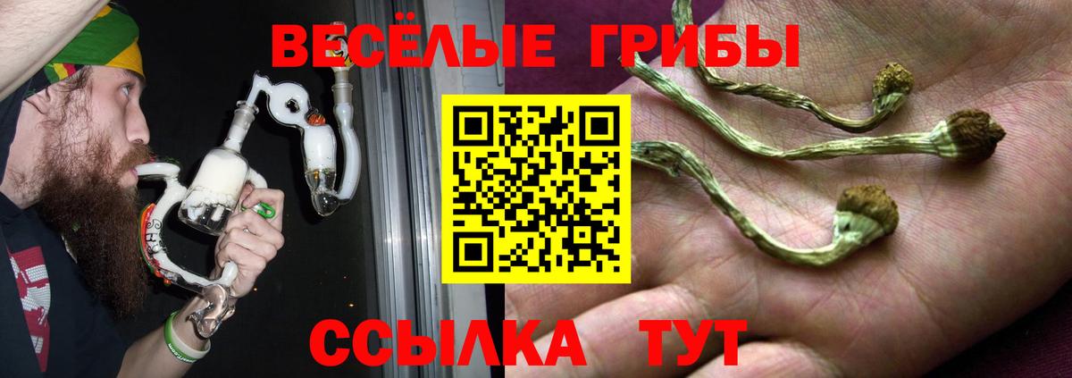Лесной  Псилоцибиновые грибы MAGIC MUSHROOMS  Вход с VPN  Галлюциногенные грибы Psilocybine cubensis 
